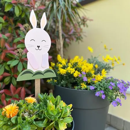 Domus Silvana Appartement