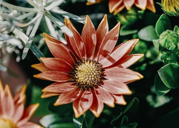 Domus Silvana Apartamento Rávena