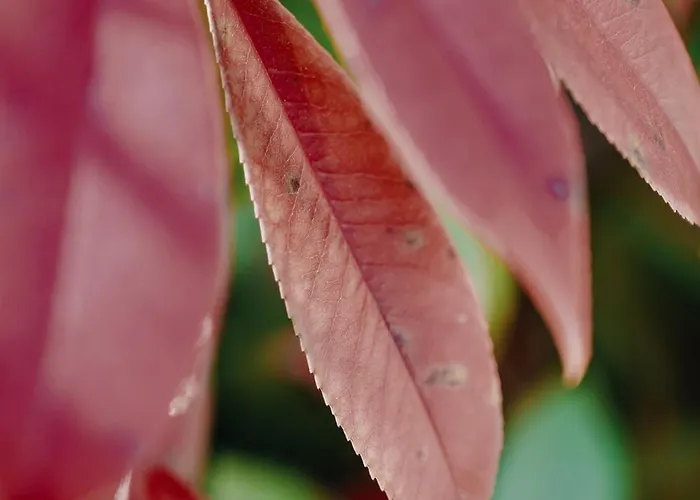 Apartamento Domus Silvana Rávena