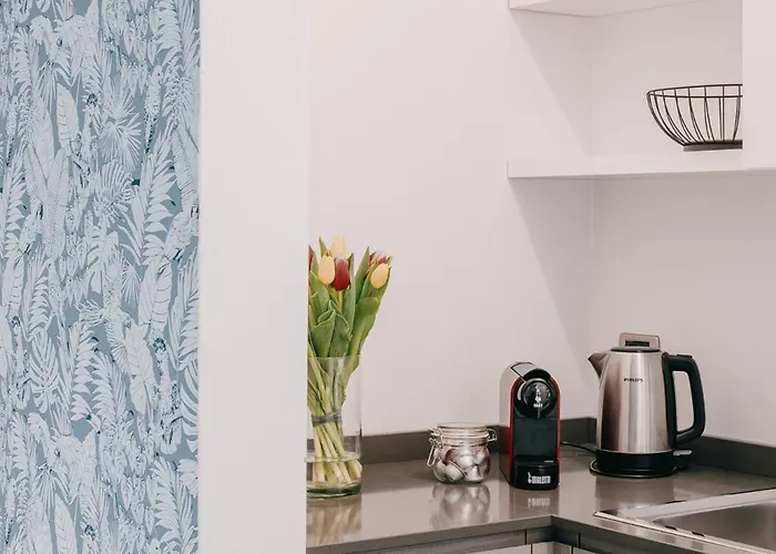 Domus Silvana Rávena